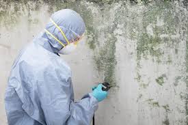 Payson, IL Mold Removal Company